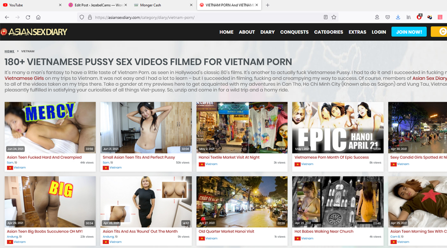 asiansexdiary vietnam porn site